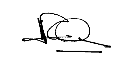 Ms L K A H Fernando Signature