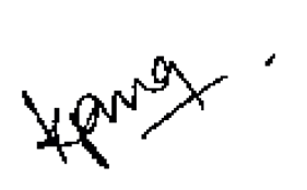 KPMG signature